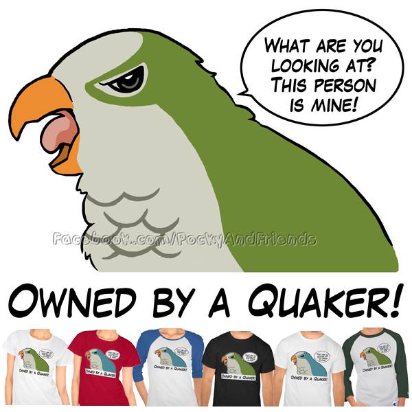 Owned by a quaker