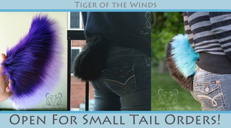 Open for 3 Small Tail Commissions