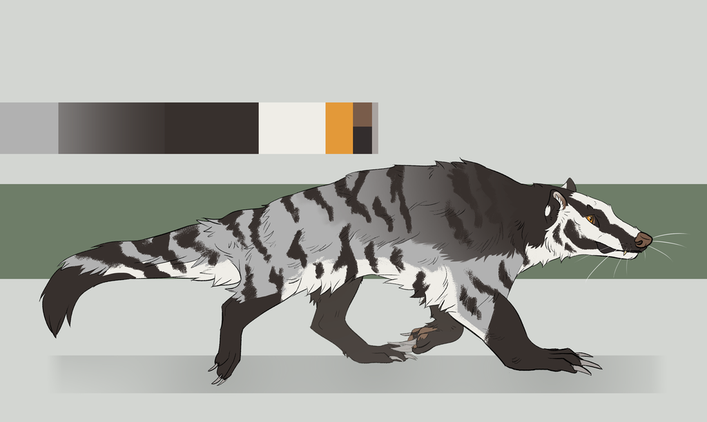 Tiger Badger