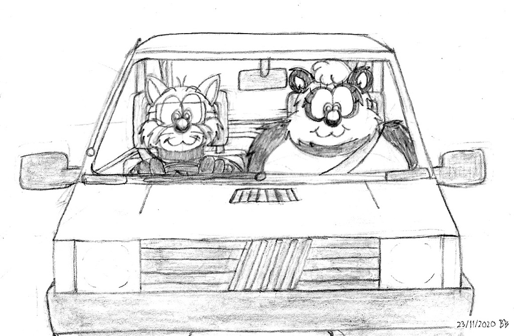 Panda Car
