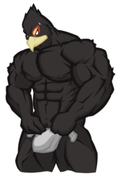 Black Falco