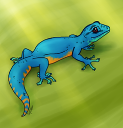 Blue Gecko for ya