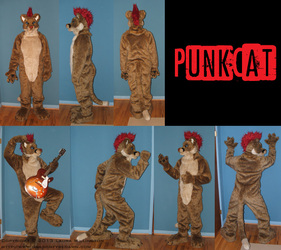 PunkCat Fullsuit