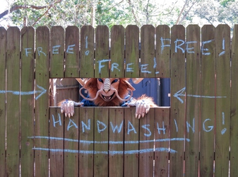 Free handwashing Station