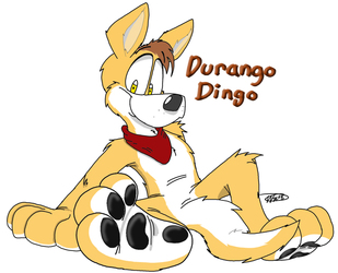 Dingo Paws