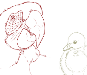 Decembird Sketches