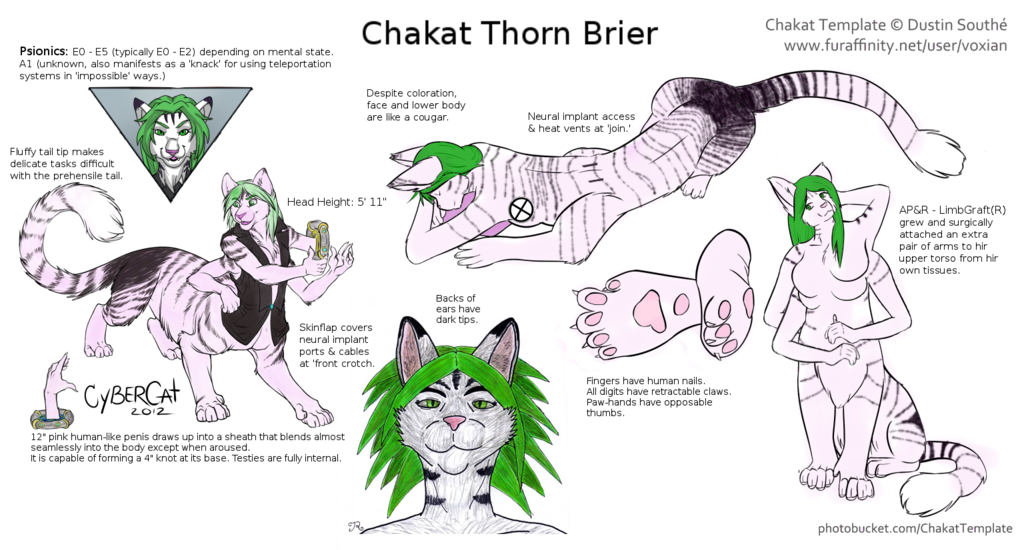 Chakat ThornBrier Character Sheet
