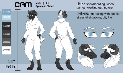 [CM] Cam Reference Sheet SFW