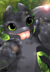 Toothless :D