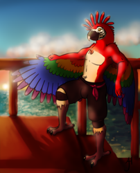 Parrot Piracy