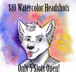 SALE $10 Full color Headshots  **LIMITED** 