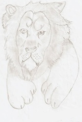 Realistic Lion Drawing 