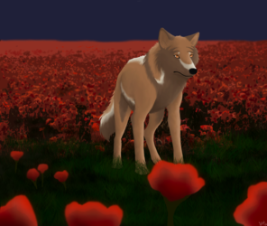 Field of Poppies [Commission]
