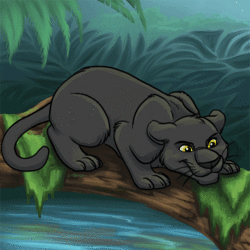 Panther Pounce