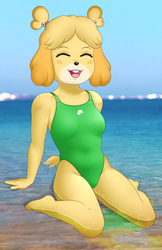 More Isabelle