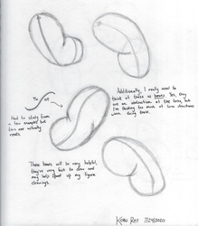 L2 - Bean Sketch 3