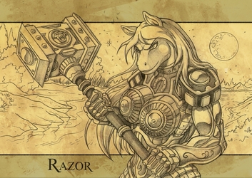 Razor Fantasy Armor Commision