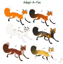 Fox Adoptables #1