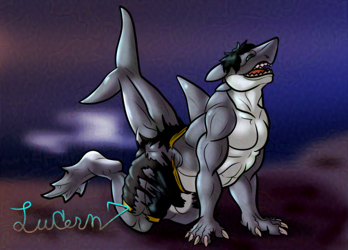 Most recent image: Gift: Shark Week Ramifications 