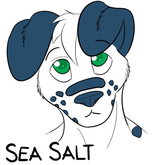 Sea Salt by Kai-Kat.