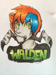 Walden for Azureanomaly