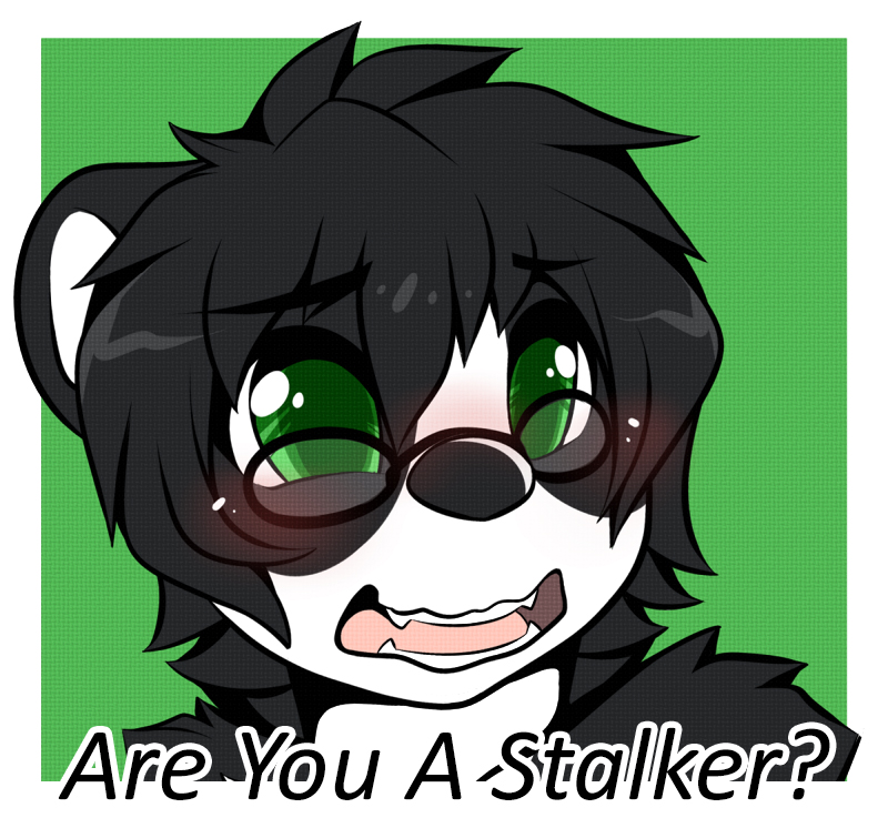 Most recent image: Are you a stalker?