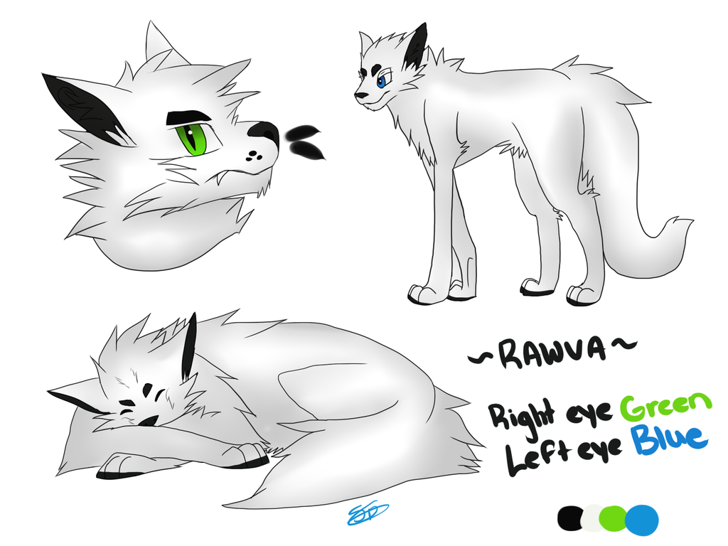 Rawva Character Sheet
