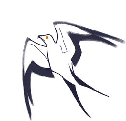 Day 89: Swallow Tailed Kite