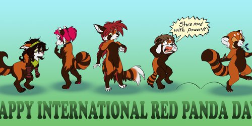 Happy International Red Panda Day