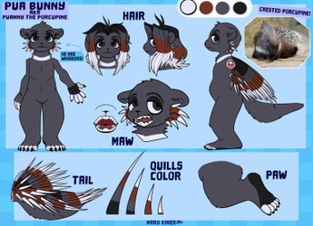 puanny reference sheet 0.2