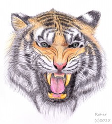 Realistic Tiger Portrait