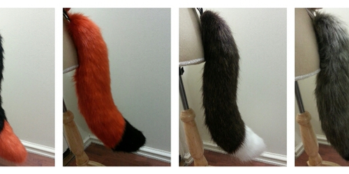 Canine tails - realistic shaped