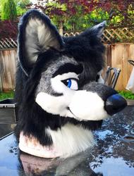 Another Angle of Just Wusky