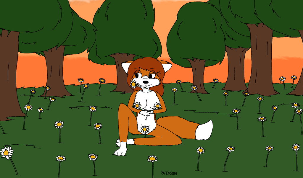 Fox in a Flower Field