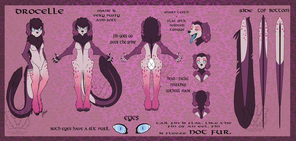 Drocelle Reference Sheet