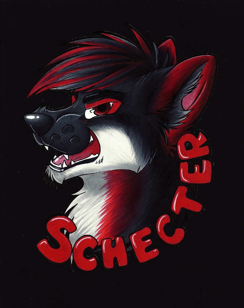 SCHECTER Badge (2)