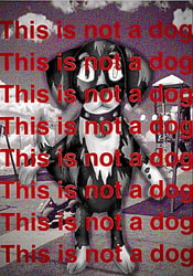 THIS IS NOT A DOG