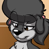 avatar of Blankie
