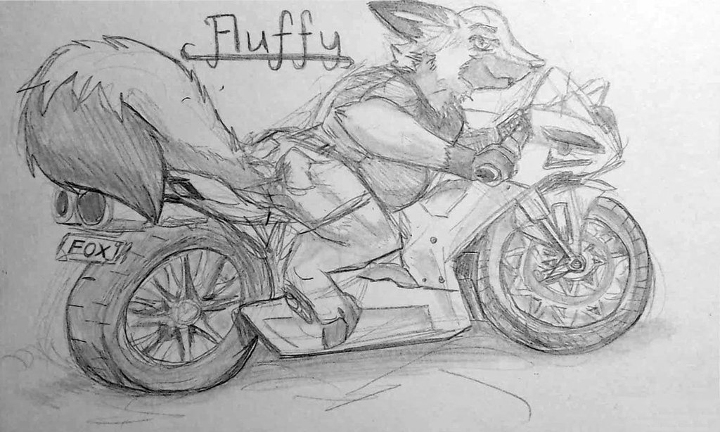 Most recent image: Racer Fluff