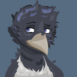Comm - Magpie Bust 2