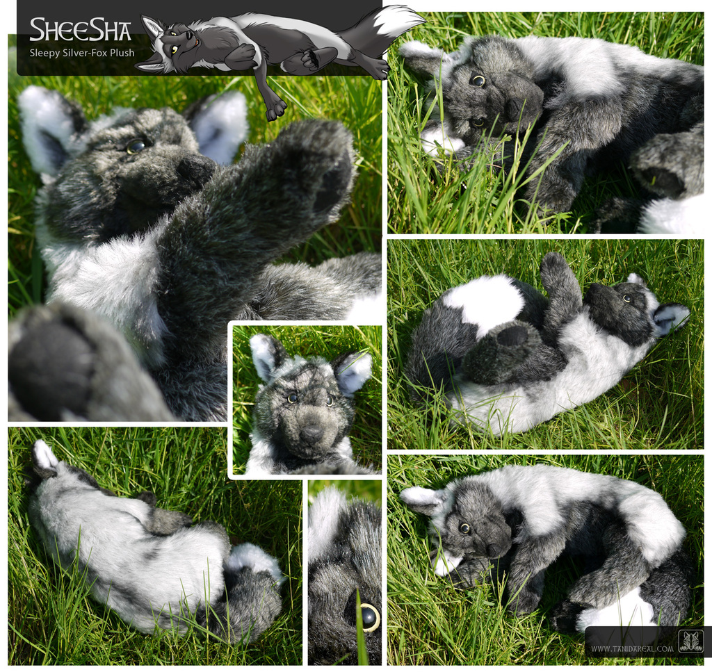 SheeSha, the silver-fox plush
