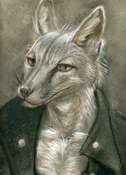 Fox in a Jacket