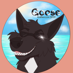 [T]Goose