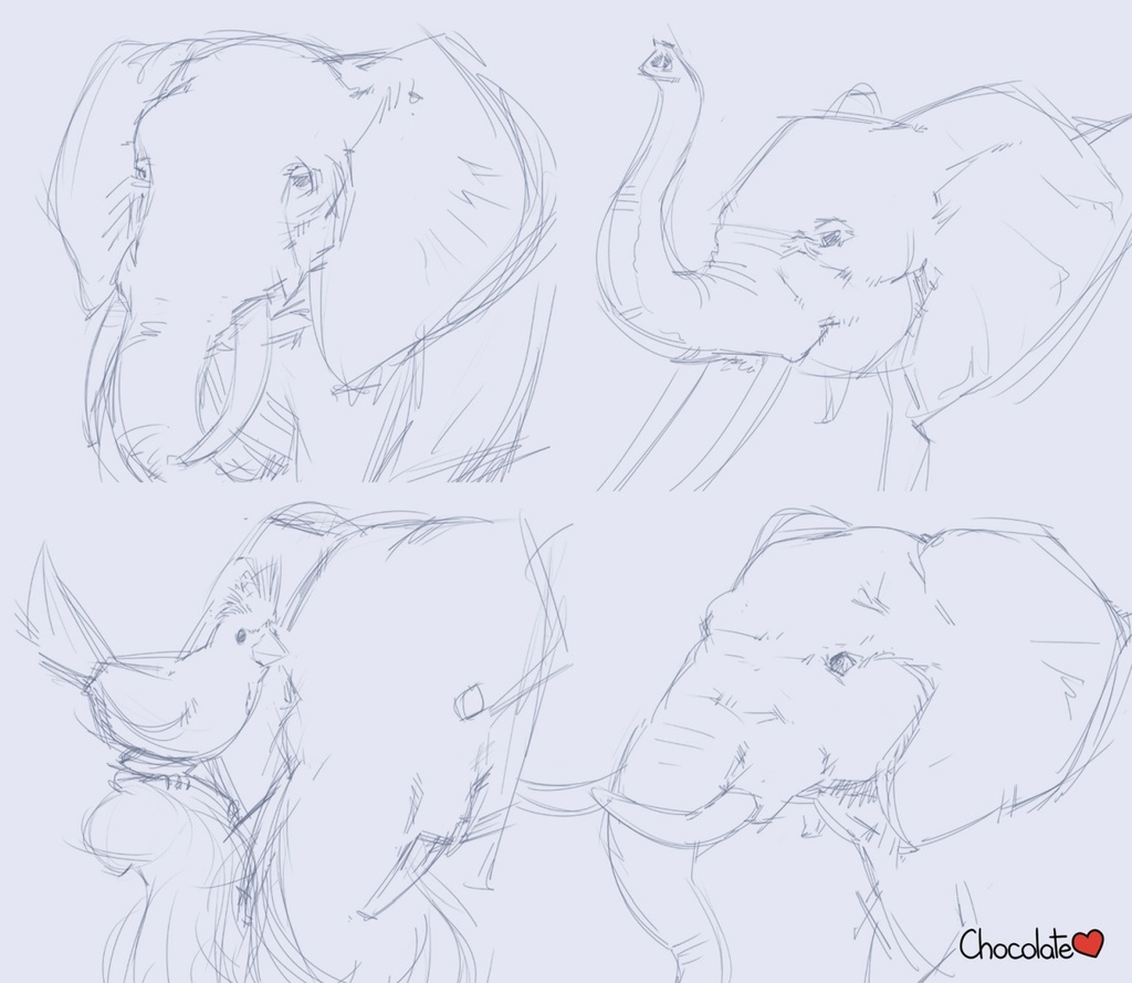 Elephants practice
