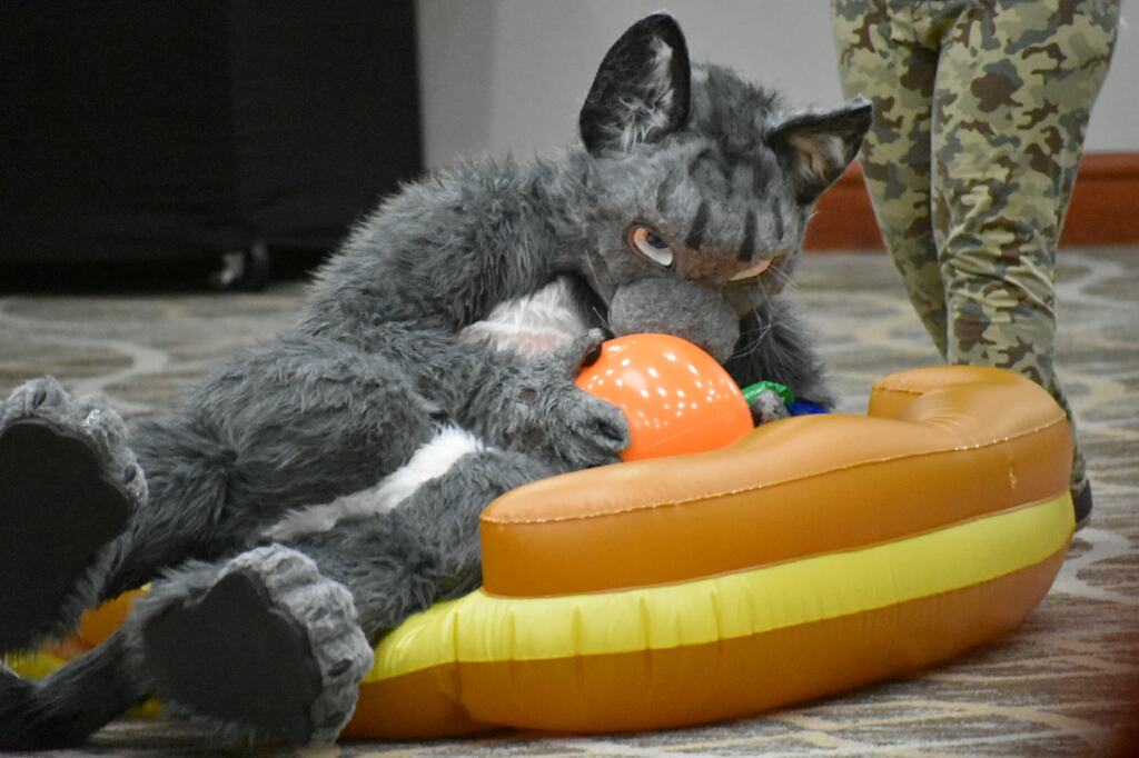 Most recent image: My inflatable ball!