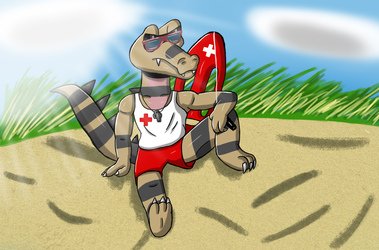 Krokoro Lifeguard in the beach (Version Clean)