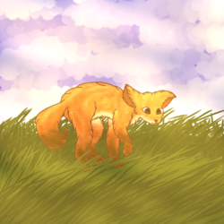 Field Fox