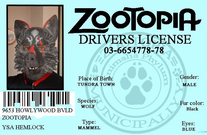 Most recent image: zootopia license