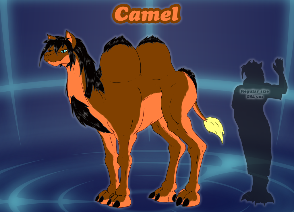 Forms of Danny - Camel