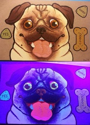Biscuits for Pug